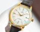 AAA Copy Omega Seamaster Yellow Gold Case 9015 Automatic Watch 40mm (2)_th.jpg